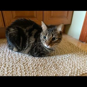 Meet your Posher, Xinyi